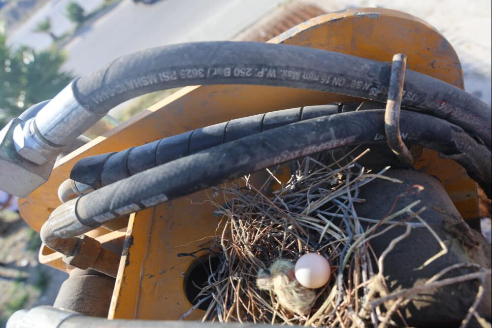 23 gündür kontağı açmadı! Sebebi duygulandırdı... 