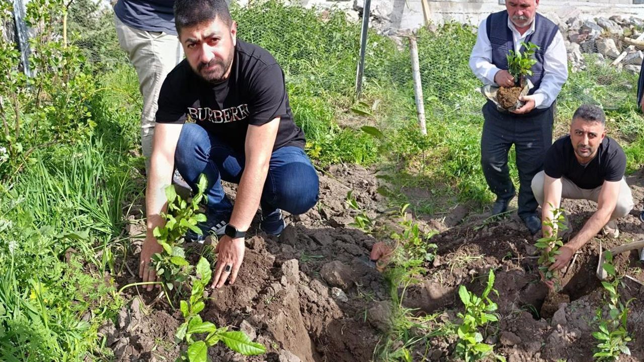 Yaşam
