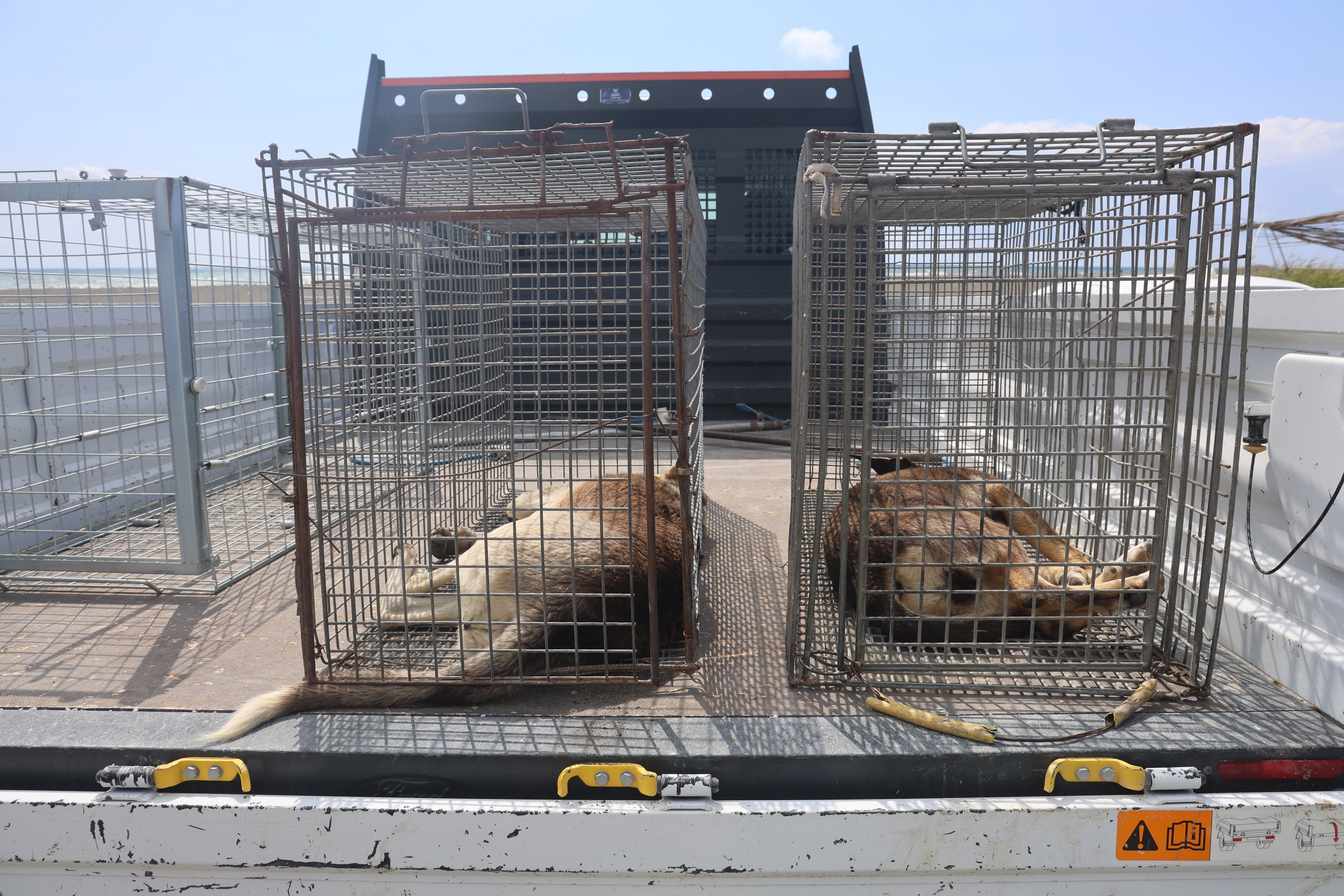 Binlerce kişi tehlikede! Giriş-çıkışlar yasaklandı: Ekipler olay yerinde... - 1. Resim