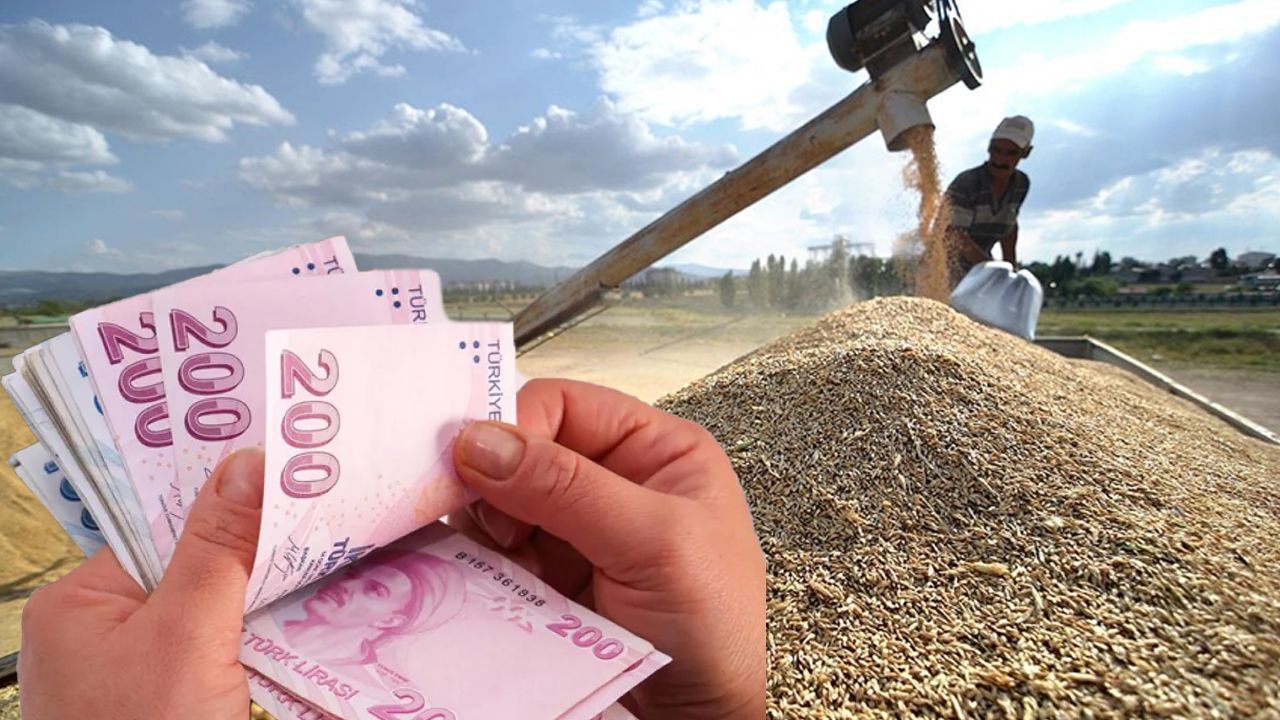 Buğday, arpa... 2025 hububat alım fiyatları açıklandı! İşte ton başına ödenecek destek