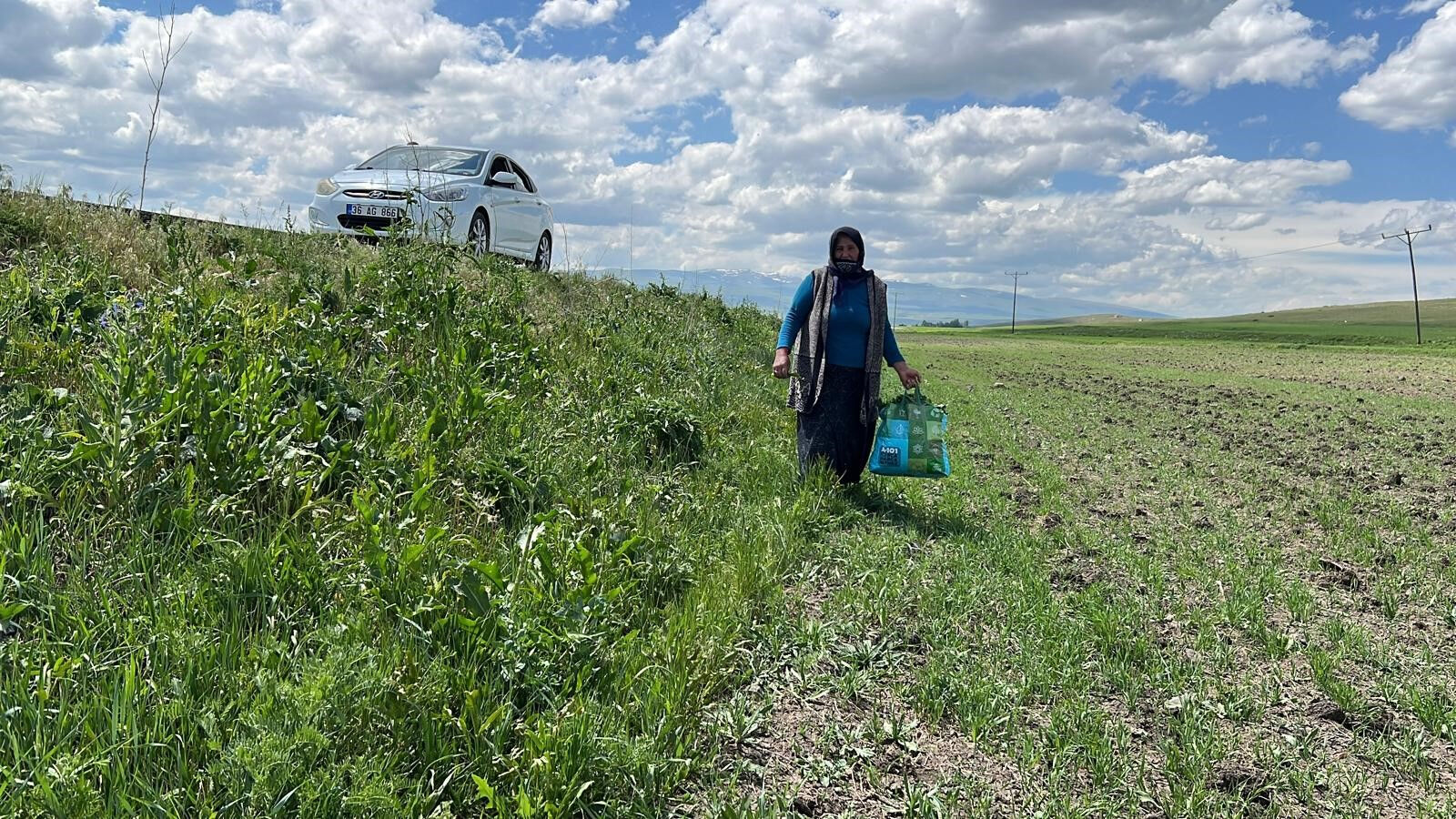 Doğada kendiliğinden yetişiyor! Şifa deposunun kilosu internette bin lirayı buluyor - 1. Resim
