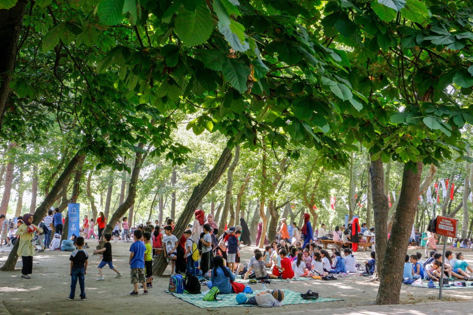 Esenler Belediyesi yaz okulu kayıtları başladı Esenler Belediyesi yaz okulu kayıtları başladı - 1. Resim