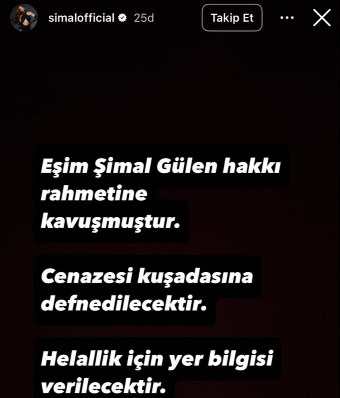 Merve Özbey'den yürek yakan veda: Şimal rüyama gelir misin? Merve Özbey'den yürek yakan veda: Şimal rüyama gelir misin? - 2. Resim