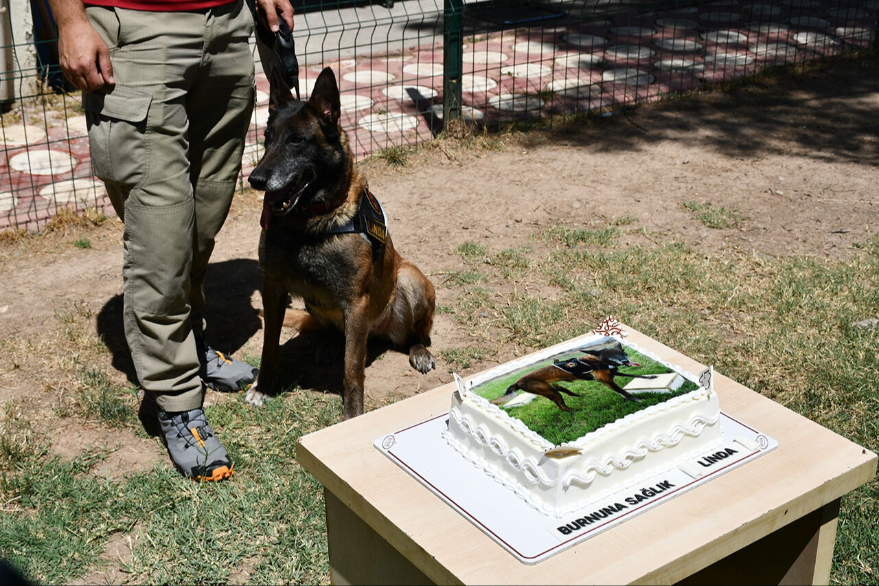 Suçluların korkulu rüyası Linda'ya veda! Ekiplerin gözbebeği artık yok - 1. Resim