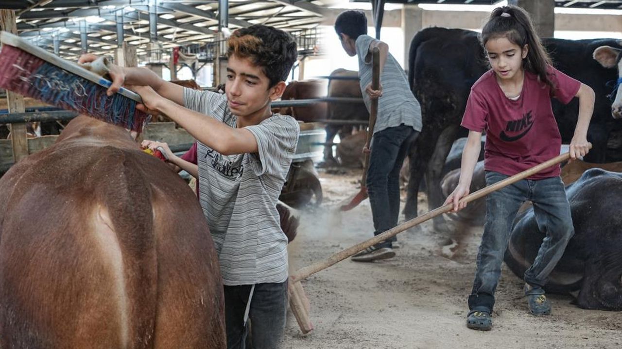 Biri 12, diğeri 8 yaşında! 1350 kilometre öteden gelip yaptıkları takdir topladı Biri 12, diğeri 8 yaşında! 1350 kilometre öteden gelip yaptıkları takdir topladı