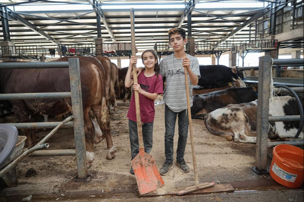 Biri 12, diğeri 8 yaşında! 1350 kilometre öteden gelip yaptıkları takdir topladı - 4. Resim