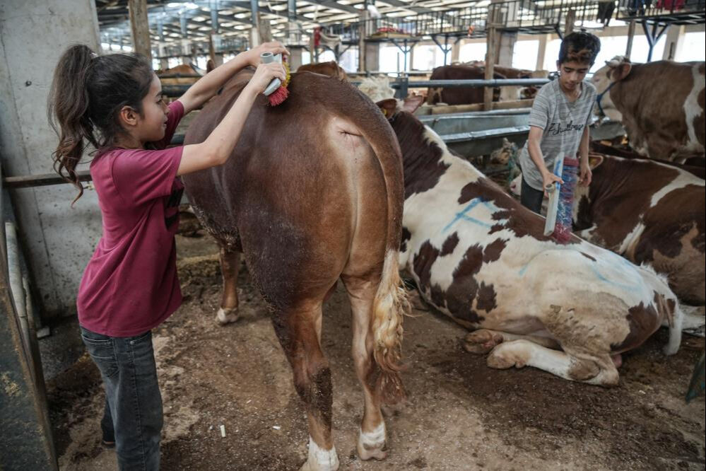 Biri 12, diğeri 8 yaşında! 1350 kilometre öteden gelip yaptıkları takdir topladı - 1. Resim