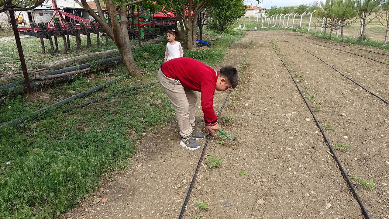 Boş vaktinde &ccedil;obanlık yapan Emir Ali sınavdan 500 tam puan aldı, babası: Bu dereceyi zaten bekliyordum - 3. Resim