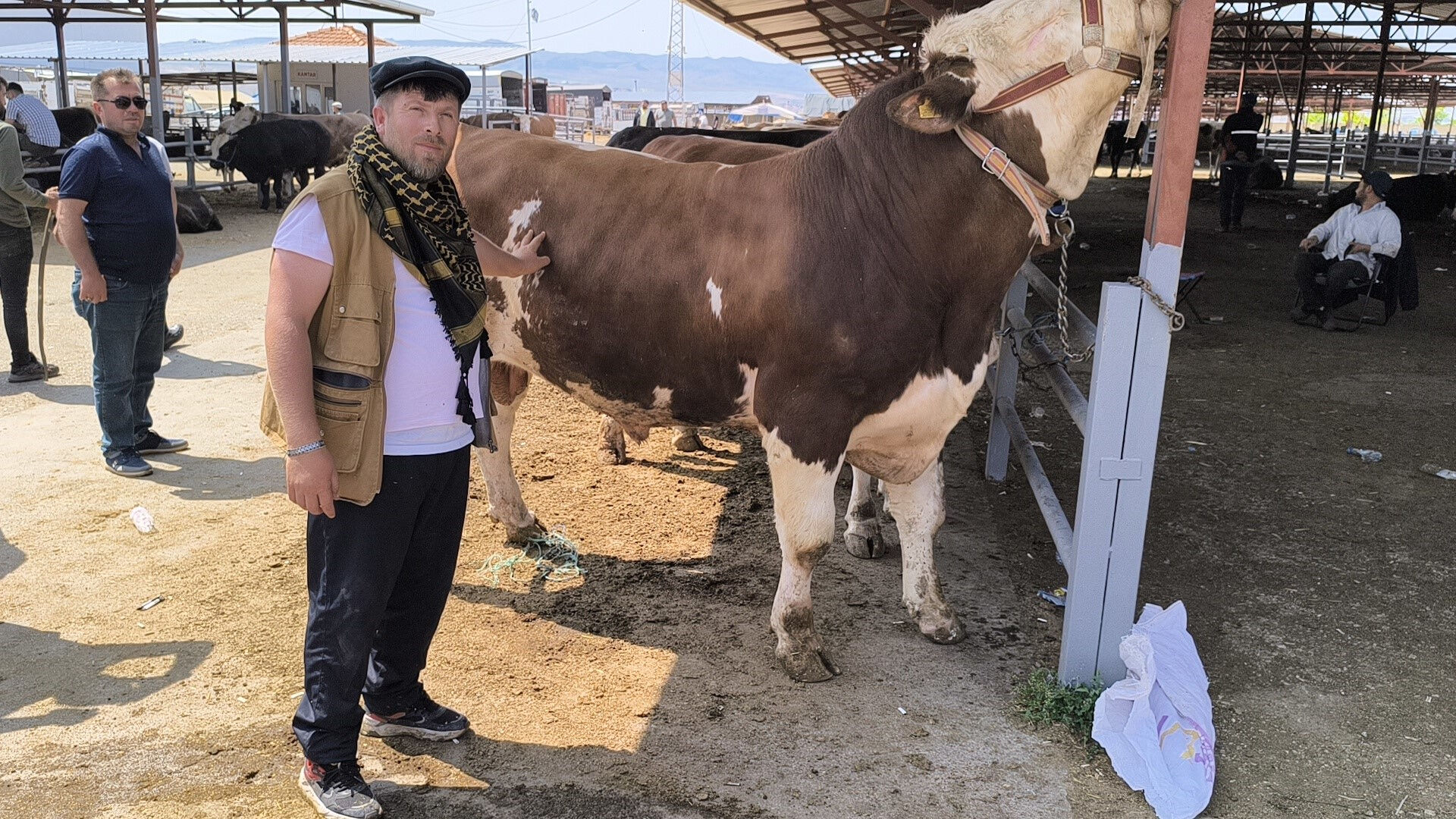 Bu kurbanlık rekor fiyata satıldı! Pazarın gözdesiydi, fiyatı dudak uçuklattı - 1. Resim