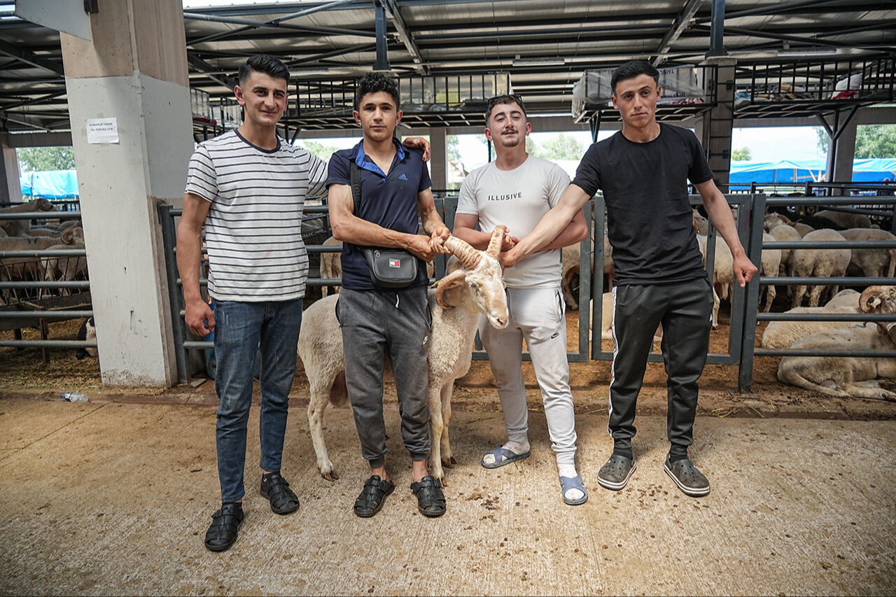 İki kişi zor tutuyor! 4 boynuzlu koçlar sosyal medyada meşhur oldu - 2. Resim