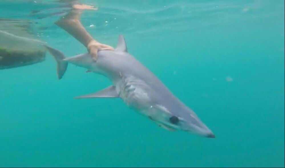 Tatilcileri rahatlatan açıklama! 