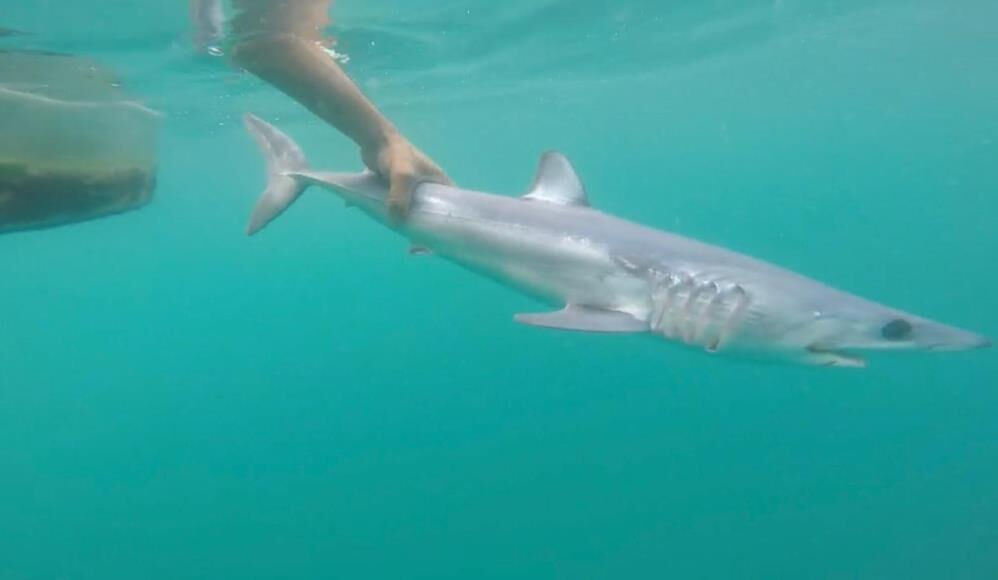 Tatilcileri rahatlatan açıklama! 