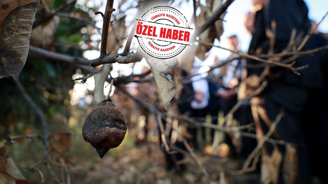 13 şehre don afeti tazminatı! Felaket yerinde incelendi 13 şehre don afeti tazminatı! Felaket yerinde incelendi