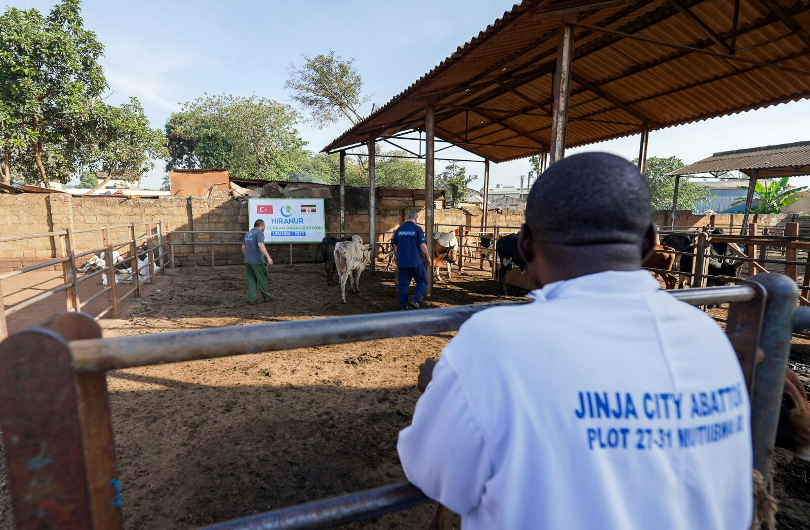 Afrika, Hiranur&rsquo;la Kurban sevinci yaşayacak - 2. Resim