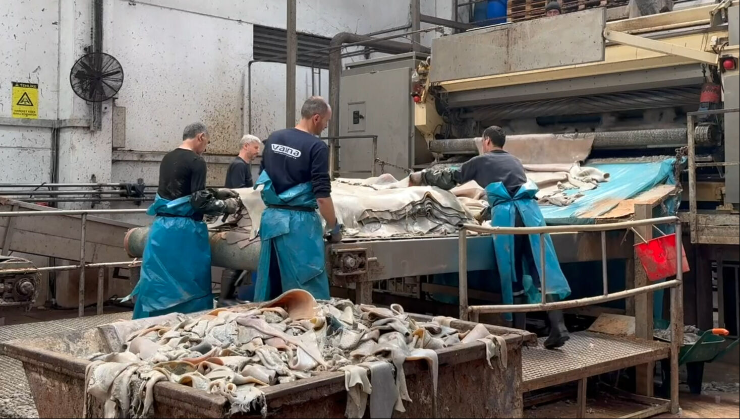 Bayram öncesi "En büyük hata" uyarısı! Kurban derisinin ekonomiye katkısı toplam 400 milyon doları bulabilir Kurban derisinin ekonomiye katkısı 400 milyon doları bulabilir! Bayram öncesi "En büyük hata" diyerek uyardı - 4. Resim