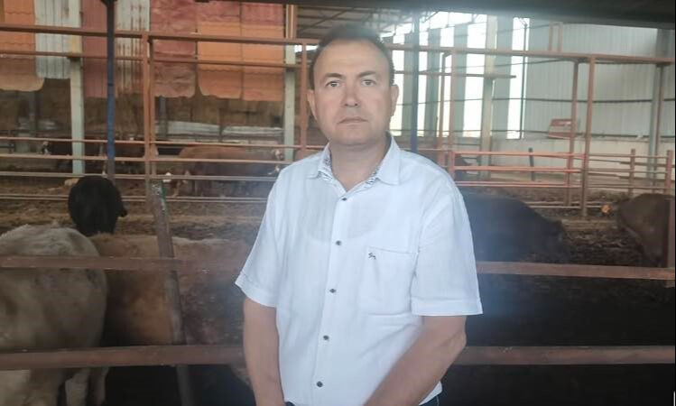 Sattığı kurbanlık ölüm getirdi! İş adamı dananın fotoğrafını çekerken canından oldu Sattığı kurbanlık ölüm getirdi! İş adamı dananın fotoğrafını çekerken canından oldu - 1. Resim