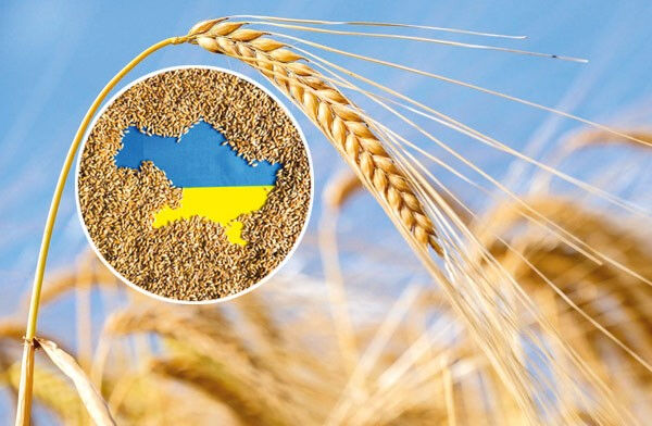 2022’den sonra bir ilk: AB, Ukrayna ithalatına duvar ördü!  Kotalar geri geldi 2022’den sonra bir ilk: AB, Ukrayna ithalatına duvar ördü!  Kotalar geri geldi - 1. Resim