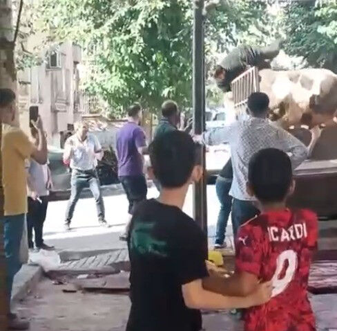 Kasap kamyonet kasasında ölümden döndü! Kurbanlık boğanın saldırısı anbean kamerada - 1. Resim