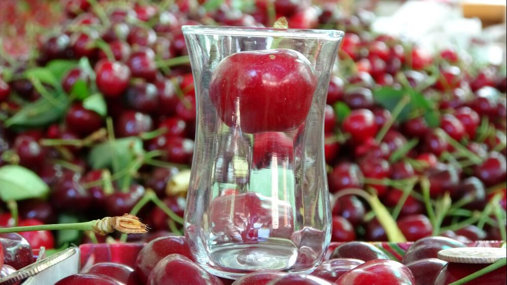 'Lapseki devi' kirazda hasat zamanı! Kilosu 700 TL'yi buluyor: Son bir haftaya girdik - 2. Resim