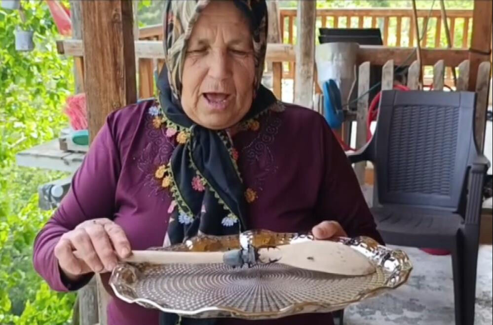 Bu böceği gören dokunmasın! Parmak kadar... Öldürene 557 bin lira ceza - 3. Resim