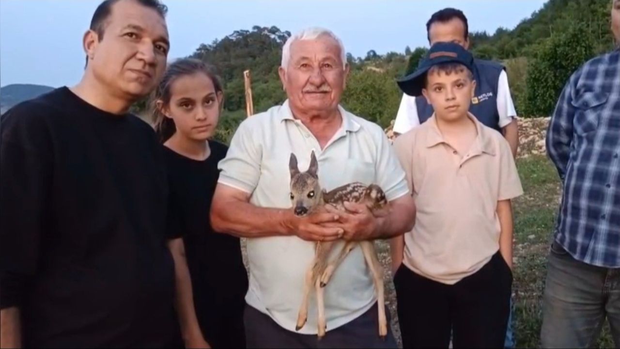 Yaşam