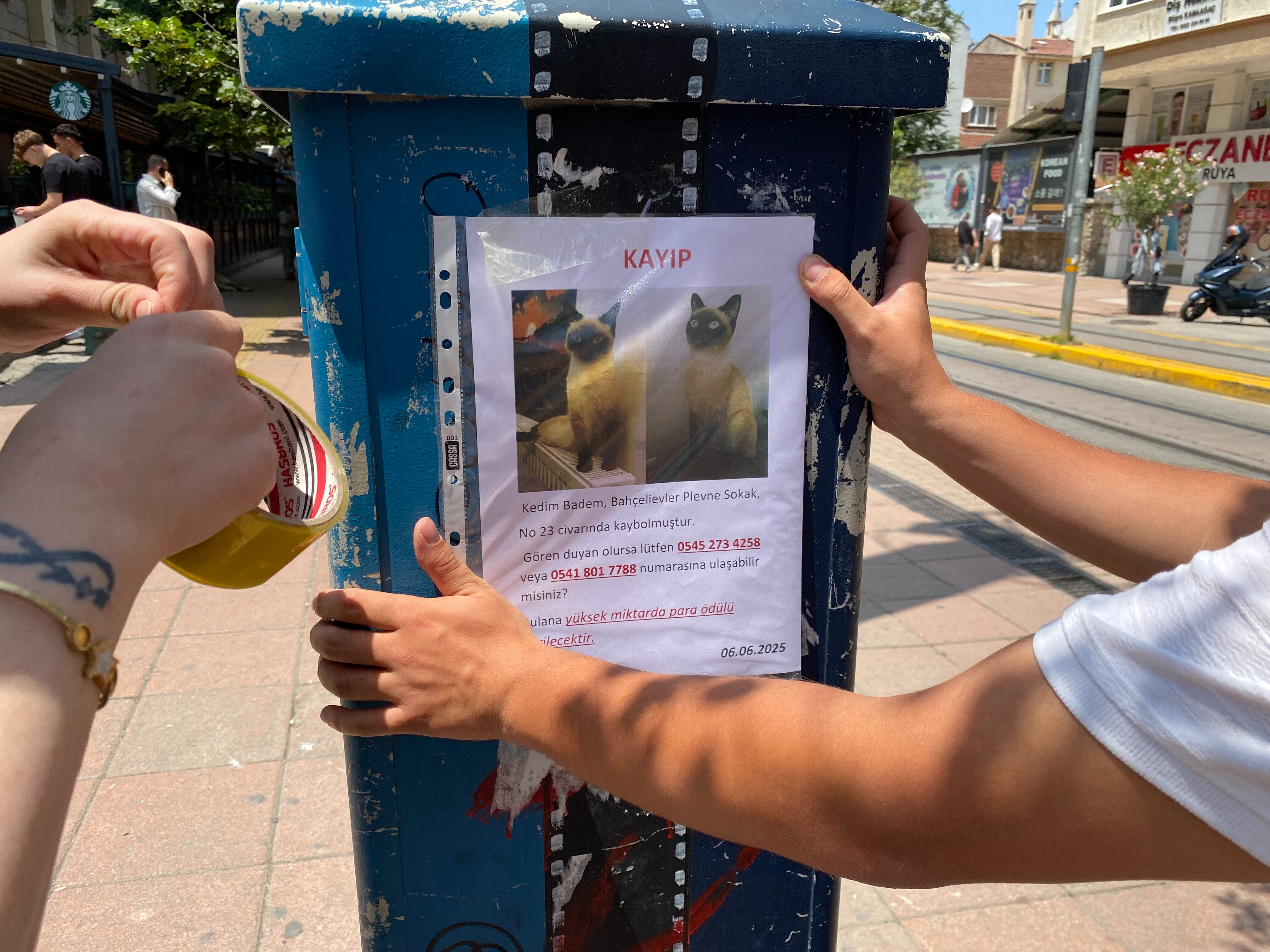 Herkes bayram sevinci yaşarken o sokak sokak 'Badem'i arıyor...