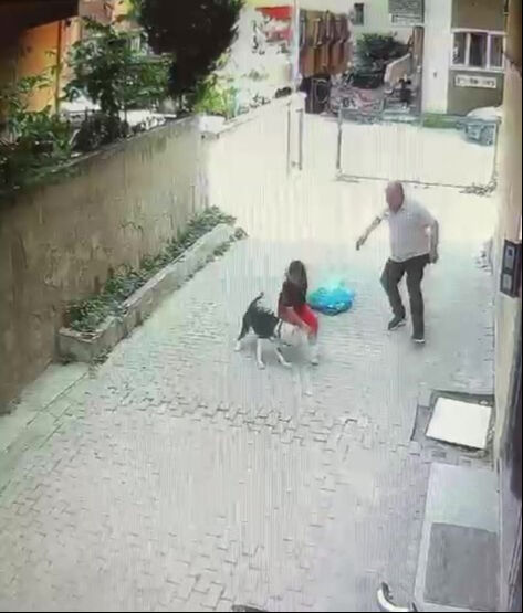 Sokakta oynarken pitbull saldırdı! Ataşehir'deki korkunç olayın görüntüleri ortaya çıktı Sokakta oynarken pitbull saldırdı! Ataşehir'deki korkunç olayın görüntüleri ortaya çıktı - 3. Resim