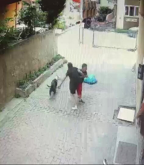Sokakta oynarken pitbull saldırdı! Ataşehir'deki korkunç olayın görüntüleri ortaya çıktı Sokakta oynarken pitbull saldırdı! Ataşehir'deki korkunç olayın görüntüleri ortaya çıktı - 1. Resim