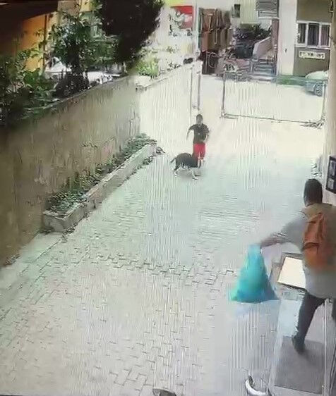 Sokakta oynarken pitbull saldırdı! Ataşehir'deki korkunç olayın görüntüleri ortaya çıktı Sokakta oynarken pitbull saldırdı! Ataşehir'deki korkunç olayın görüntüleri ortaya çıktı - 2. Resim