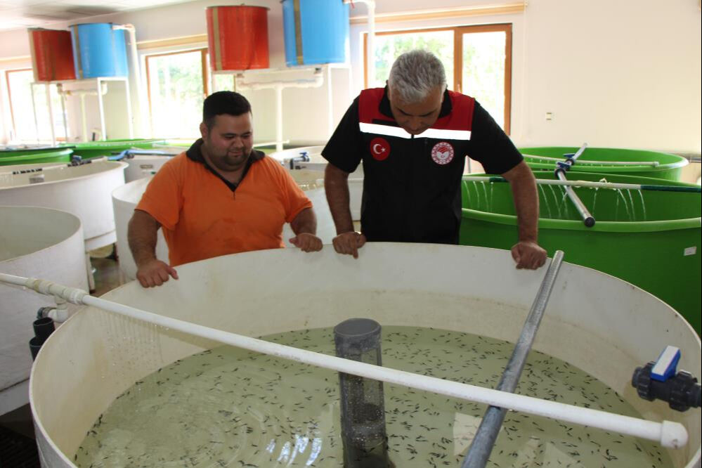 Yalnızca 150 tane kaldı! Nesli tehlikede... Kilosu 4 bin euro Yalnızca 150 tane kaldı! Nesli tehlikede... Kilosu 4 bin euro - 1. Resim