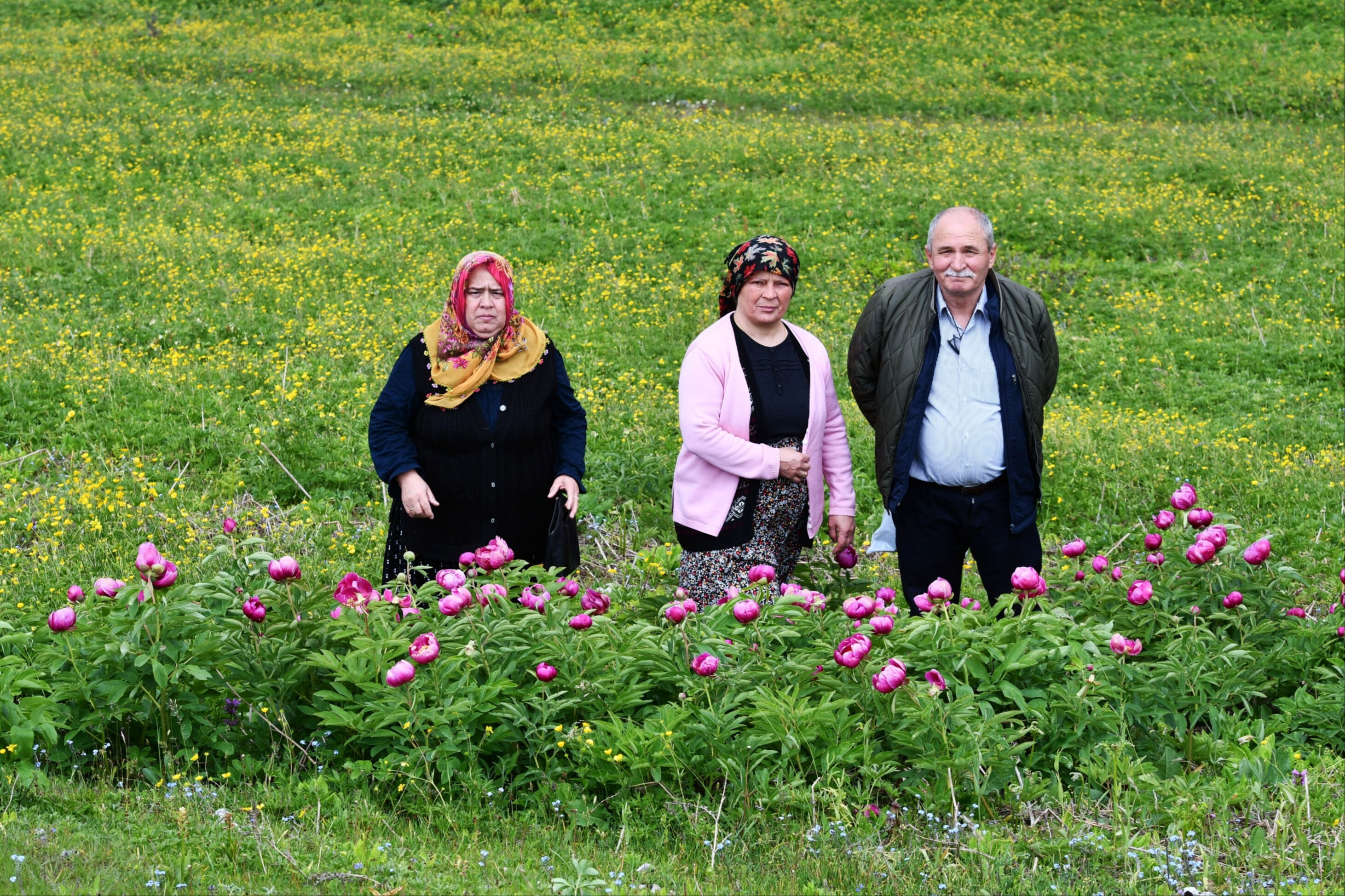 Yılda sadece 10 gün çiçek açıyor! Koparmanın cezası 557 bin TL - 2. Resim