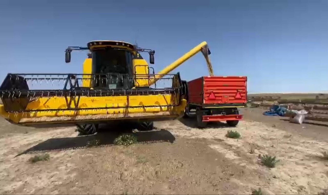 36 tonluk verim 6 tona düştü! Bir kentimizdeki kuraklık çiftçiyi iflasa sürüklüyor 36 tonluk verim 6 tona düştü! Bir kentimizdeki kuraklık çiftçiyi iflasa sürüklüyor - 2. Resim