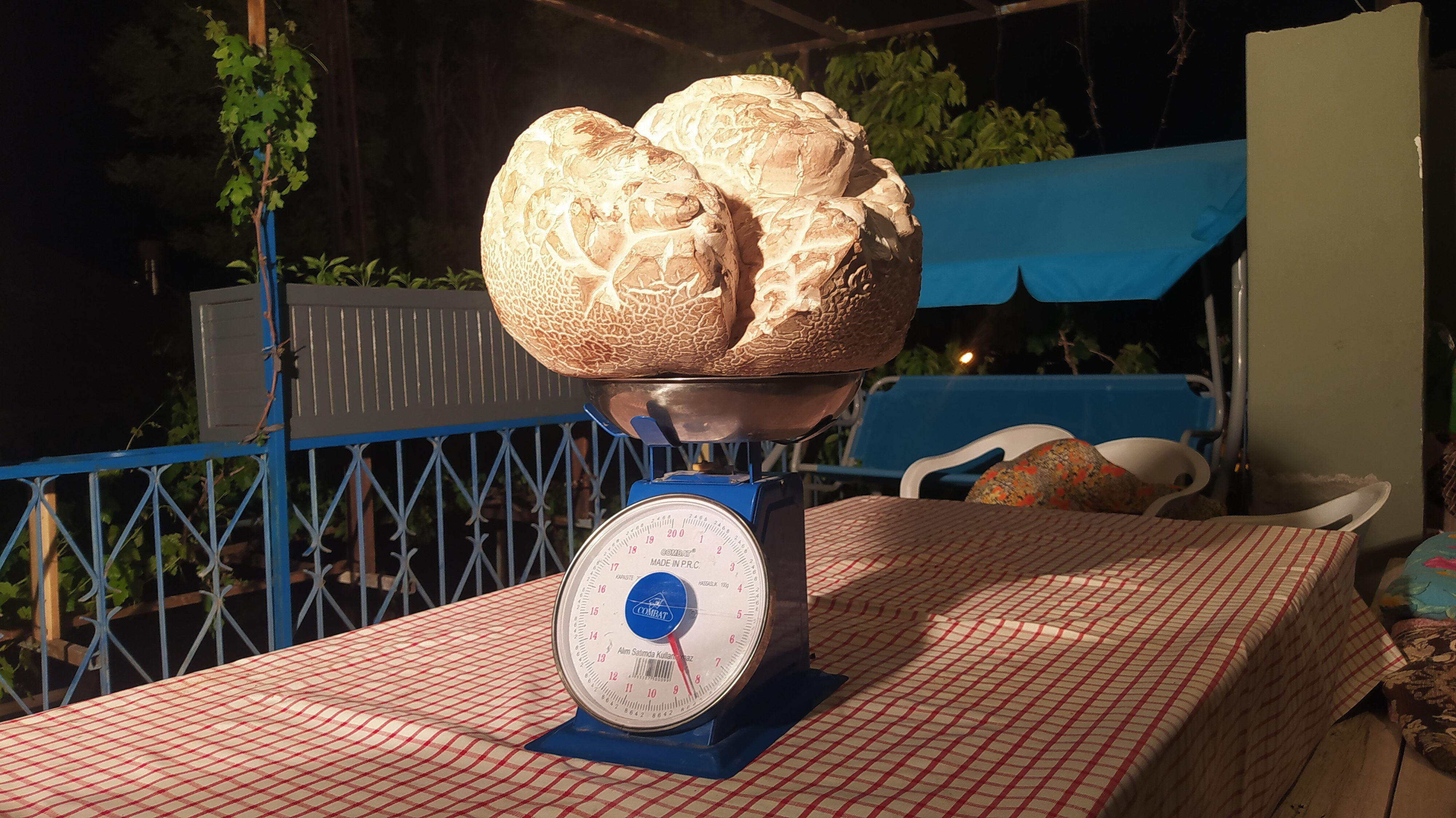 Önce taş zannettiler, yaklaşınca inanamadılar! Ağırlığı 8 kilogram, görüntüsü şaşırtıcı Önce taş zannettiler, yaklaşınca inanamadılar! Ağırlığı 8 kilogram, görüntüsü şaşırtıcı - 1. Resim