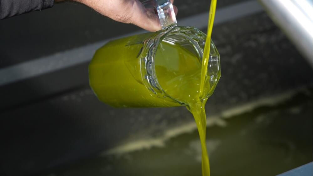 &Uuml;şenge&ccedil;liği ortadan kaldırıyor, hem tok tutuyor hem de serinletiyor! Kalitelisini bulmak yeterli... - 1. Resim