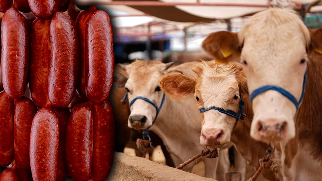 Kurban etinden sucuk! 1 kilosu 130 lira Kurban etinden sucuk! 1 kilosu 130 lira