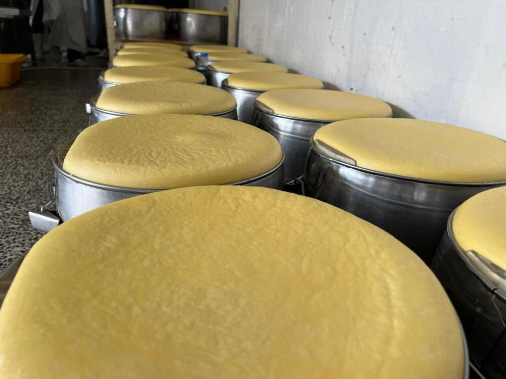 3 ay boyunca serin ortamda dinlendiriliyor, tadından yenmiyor! 81 ilden sipariş yağıyor - 5. Resim