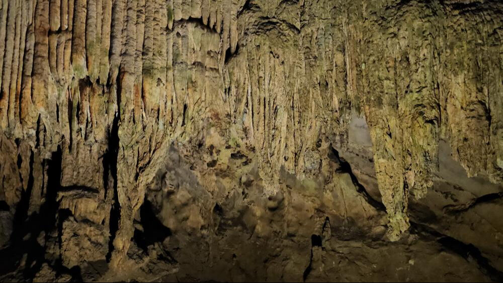 350 milyon yıllık! 875 metre uzunluğunda... Ziyaretçi rekoru kırıldı - 2. Resim