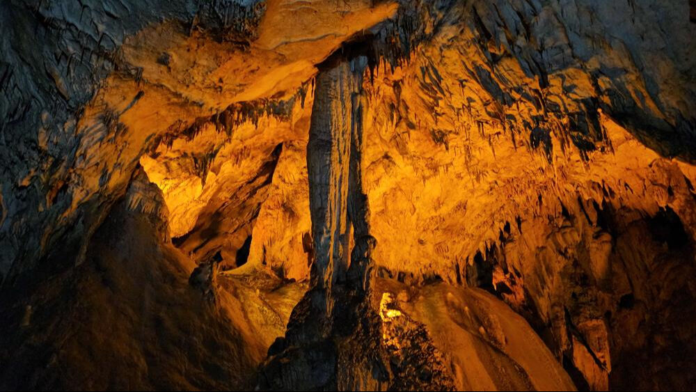 350 milyon yıllık! 875 metre uzunluğunda... Ziyaretçi rekoru kırıldı - 1. Resim