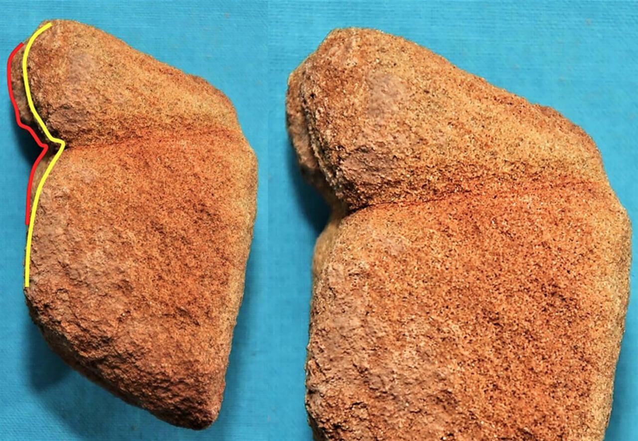 Anadolu’nun en eski taş heykelcikleri mi? 15 bin 800 yıllık figürinler keşfedildi Kızılin 2 figürin
