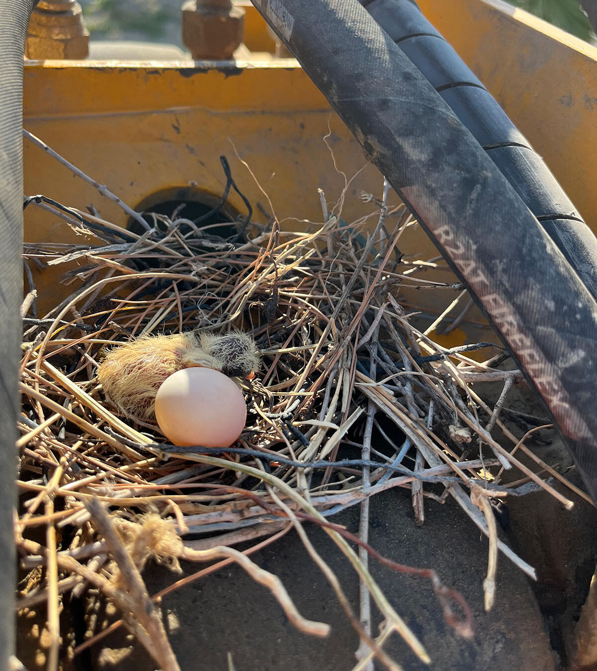 Bir aydır &ccedil;alışmasına izin vermiyor! Kep&ccedil;e operat&ouml;r&uuml;n&uuml;n y&uuml;z&uuml; sonunda g&uuml;ld&uuml; - 2. Resim