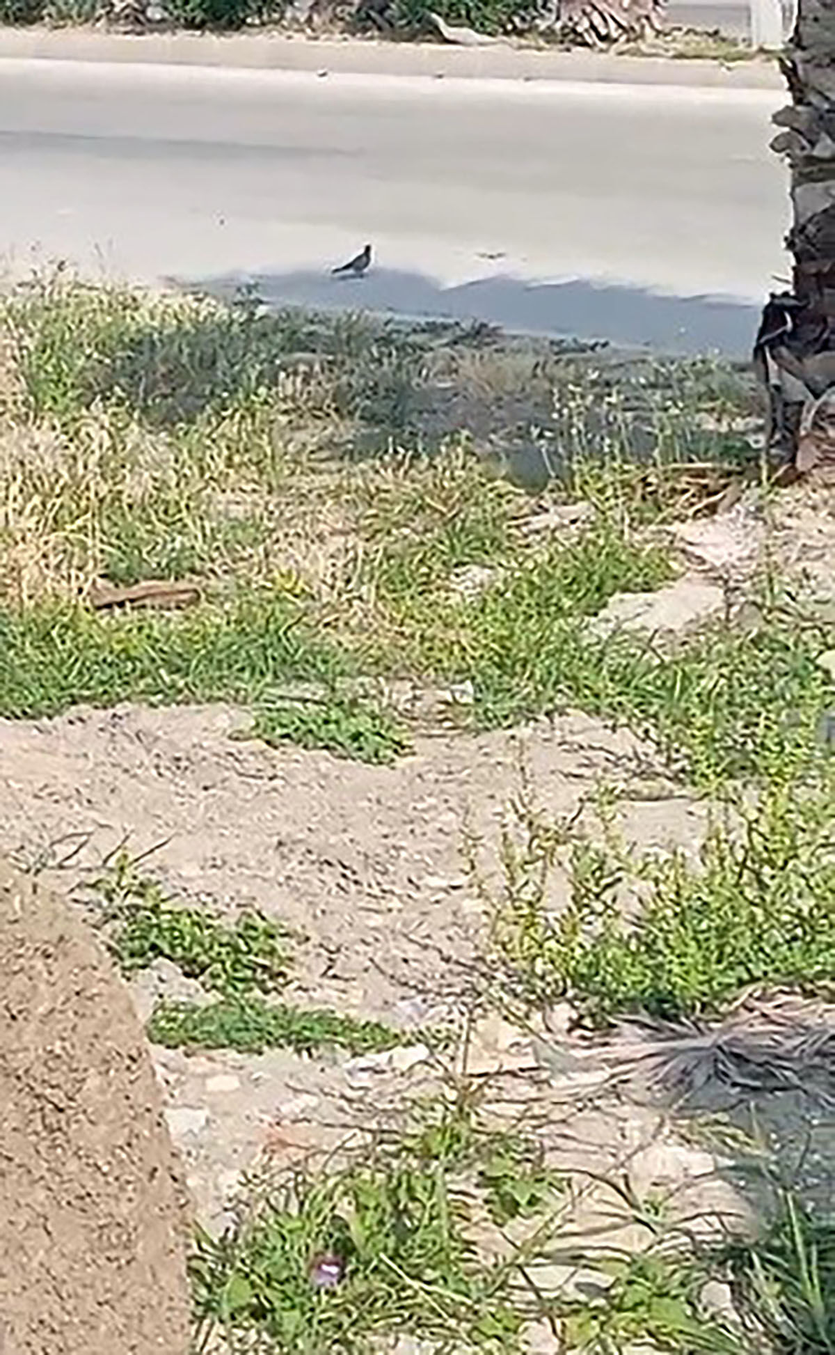 Bir aydır &ccedil;alışmasına izin vermiyor! Kep&ccedil;e operat&ouml;r&uuml;n&uuml;n y&uuml;z&uuml; sonunda g&uuml;ld&uuml; - 6. Resim