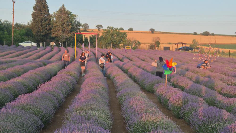 Bunun adı Mor Turizm! Sezon başladı, doğa severler Tekirdağ'a akın etti - 3. Resim