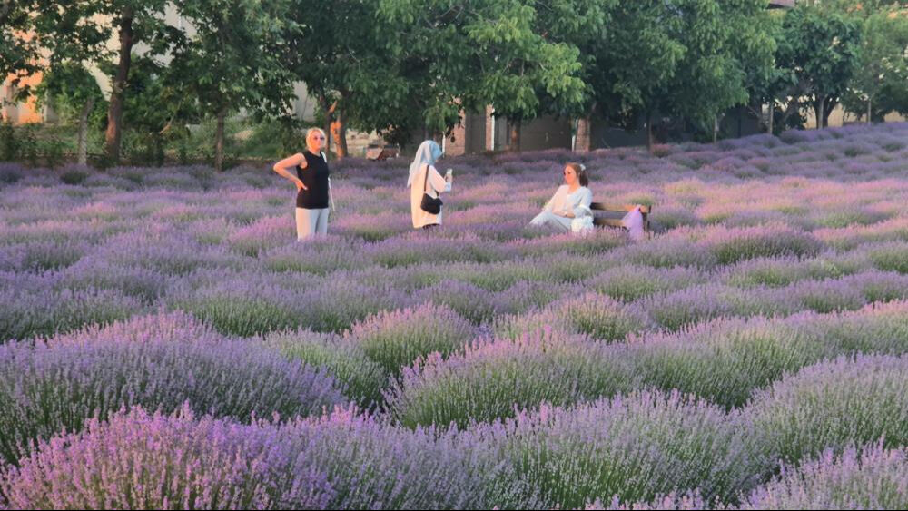 Bunun adı Mor Turizm! Sezon başladı, doğa severler Tekirdağ'a akın etti - 2. Resim