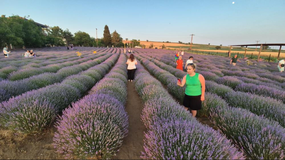 Bunun adı Mor Turizm! Sezon başladı, doğa severler Tekirdağ'a akın etti - 1. Resim