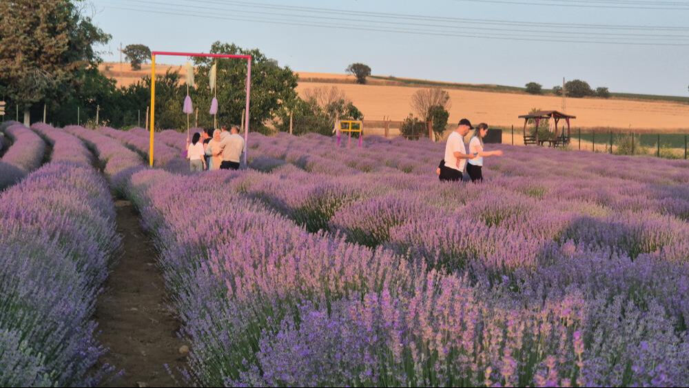 Bunun adı Mor Turizm! Sezon başladı, doğa severler Tekirdağ'a akın etti - 5. Resim