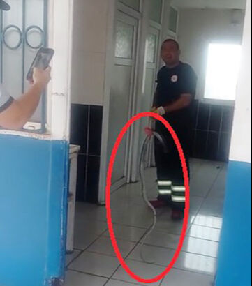 Fabrikada panik anları! Havalar ısındı, yılanlar ortaya çıktı Fabrikada panik anları! Havalar ısındı, yılanlar ortaya çıktı - 1. Resim