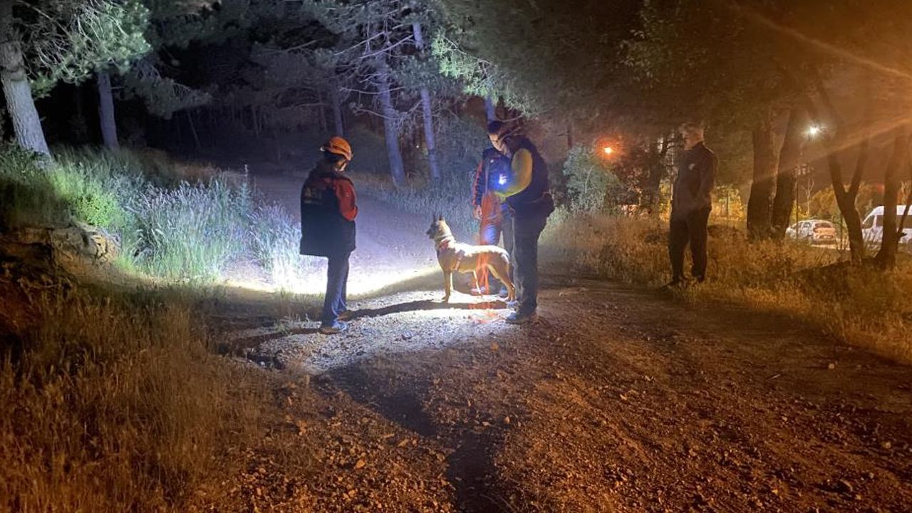 İstanbul'da esrarengiz olay: Ormana girdi, sırra kadem bastı İstanbul'da esrarengiz olay: Ormana girdi, sırra kadem bastı