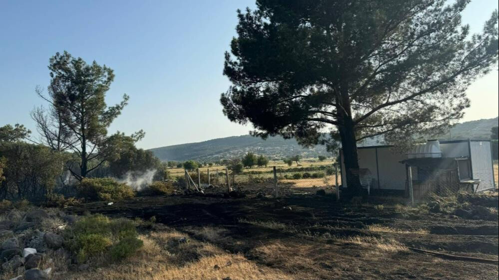 İzmir'de mangal faciası: Orman yangını çıkardı, tutuklandı İzmir'de mangal faciası: Orman yangını çıkardı, tutuklandı - 2. Resim