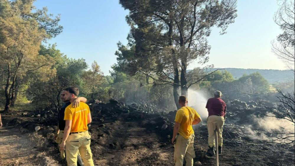İzmir'de mangal faciası: Orman yangını çıkardı, tutuklandı İzmir'de mangal faciası: Orman yangını çıkardı, tutuklandı - 1. Resim