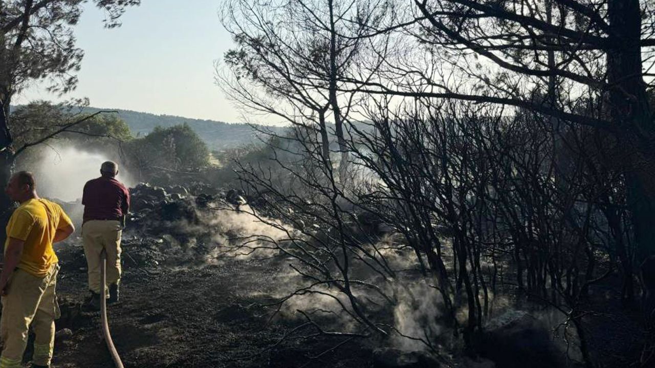 İzmir'de mangal faciası: Orman yangını çıkardı, tutuklandı İzmir'de mangal faciası: Orman yangını çıkardı, tutuklandı